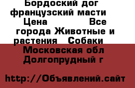 Бордоский дог ( французский масти)  › Цена ­ 50 000 - Все города Животные и растения » Собаки   . Московская обл.,Долгопрудный г.